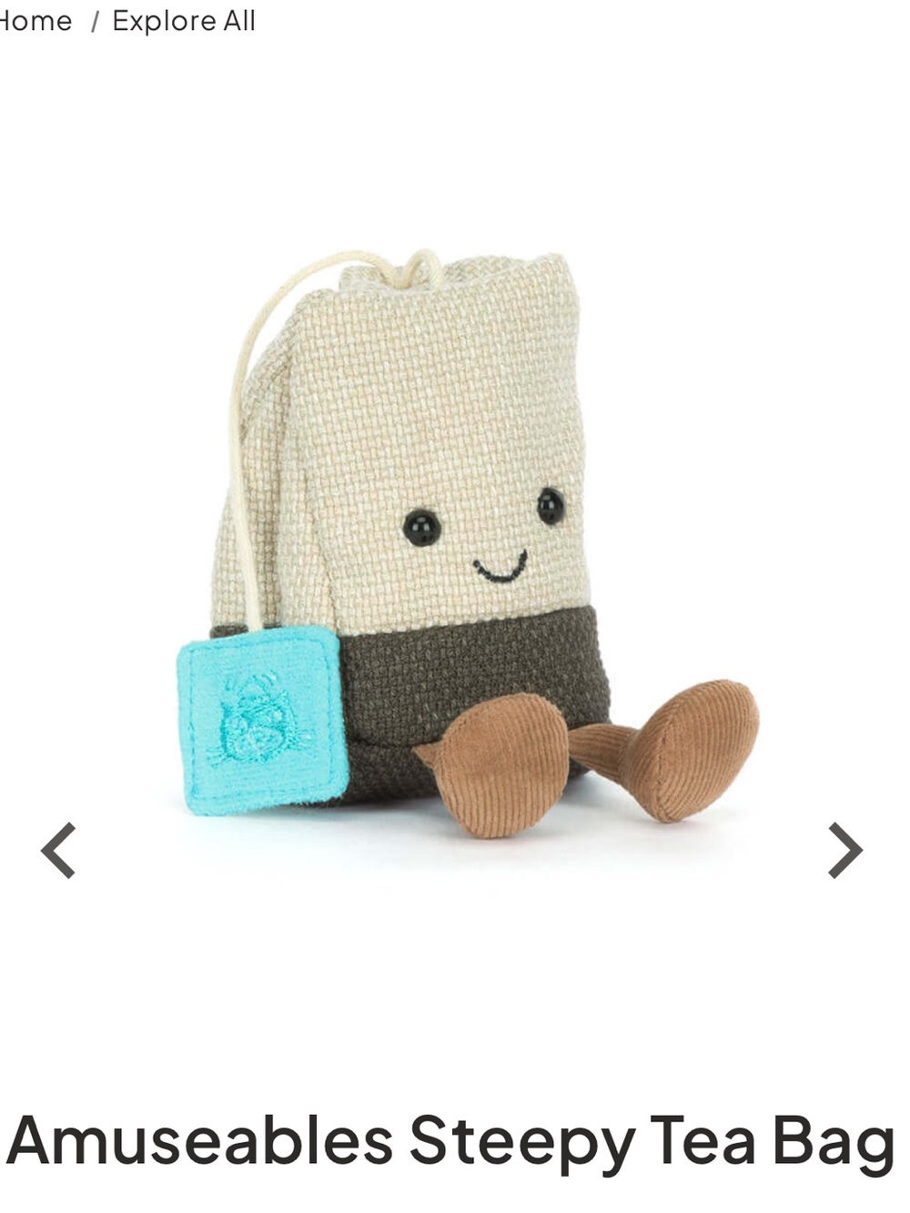 Jellycat Steepy Tea Bag Plush in Cream, Brown & Aqua